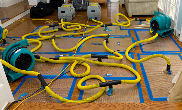 Professional Water Damage Repair technician working in Liberty Center, IA